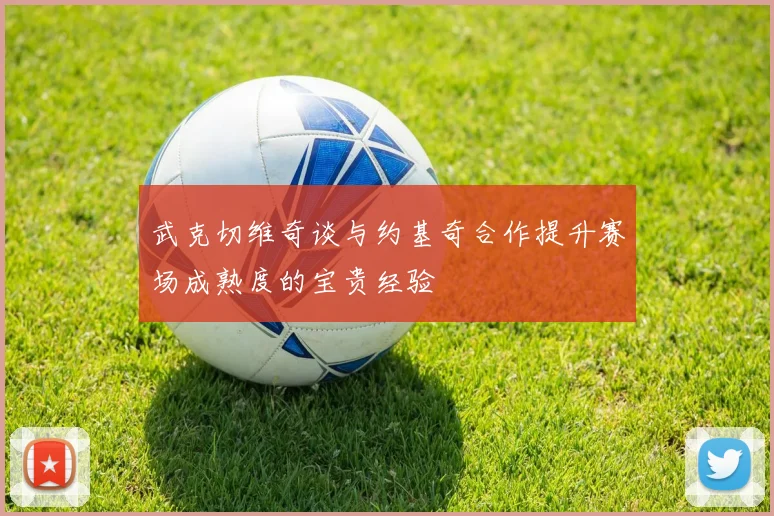 武克切维奇谈与约基奇合作提升赛场成熟度的宝贵经验